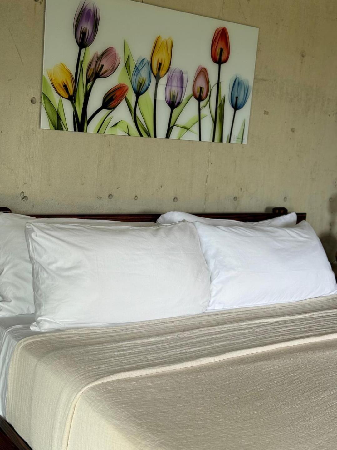 The Serene House Bed & Breakfast Лукильо Екстериор снимка